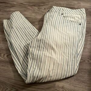 Stylus Women’s Jeans 👖 Size 33/16. These Jeans Are Blue And White Striped.